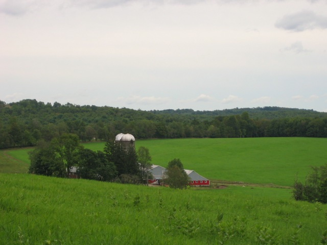 Catskills Farmland